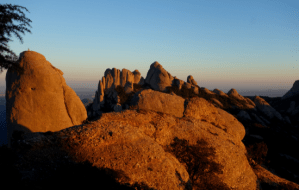 a rocky mountain with trees in the background