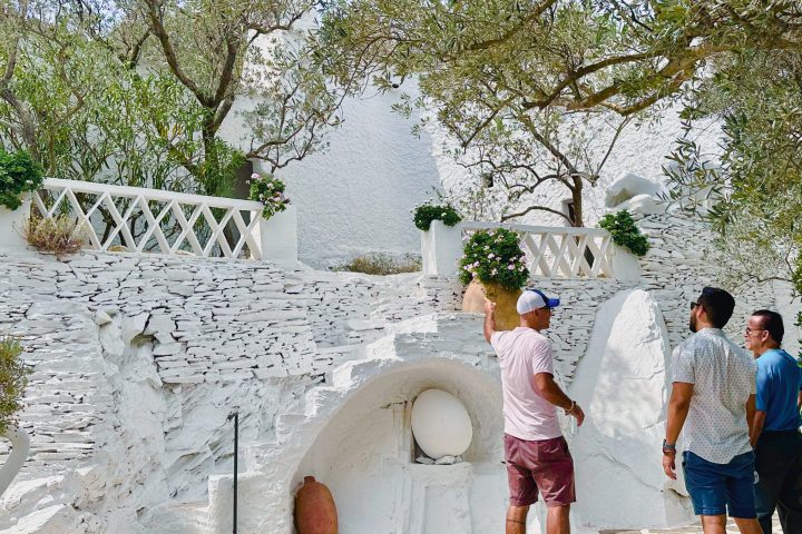 Tour in the Dali House