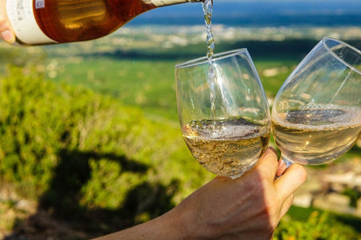 a hand holding a glass of wine