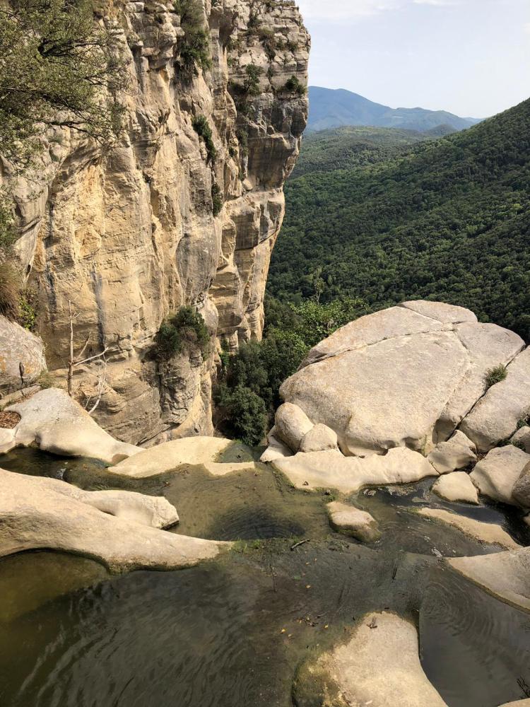 Pyrenees