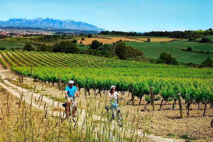 Cyclists on dirt path through lush vineyard with mountains in background.