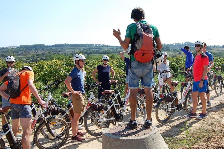 Group of cyclists with helmets gathered outdoors near vineyards.