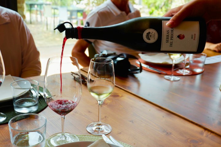 Bottles of wine at Pasanau winery