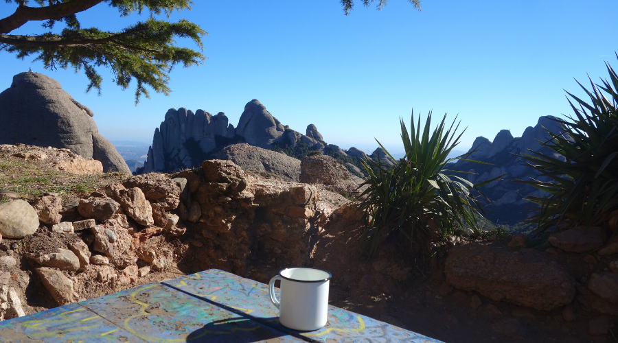 a tree with a mountain in the background