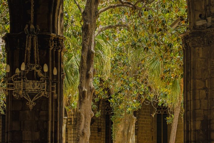 Walking tour in the Gothic neighbourhood