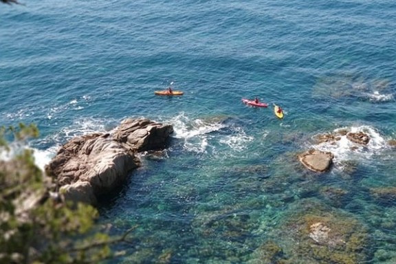 a group of people on a rocky beach