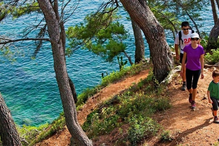 a family walking next to a tree