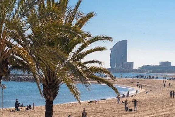 Beach with palm trees, people, and a modern hotel in the background on a clear day.