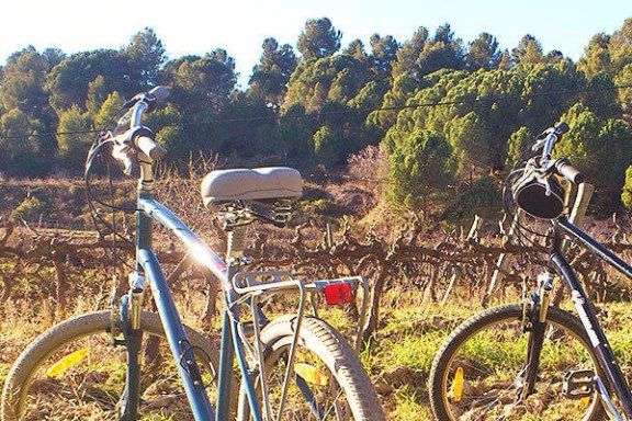 a bicycle parked in a grassy area