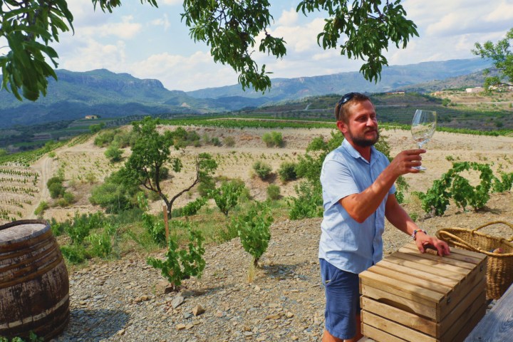 a man explaining about wine in a vineyard