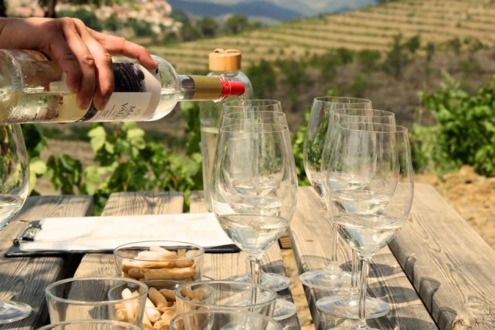 Person pouring wine into glasses on a wooden table outdoors, with vineyard in background.