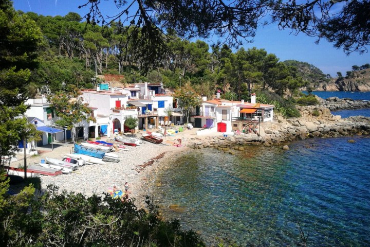 Coastal village with white houses, boats, pebble beach, and surrounding trees.
